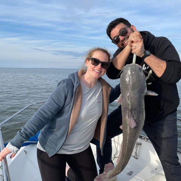 Two people holding large catfish on fishing boat